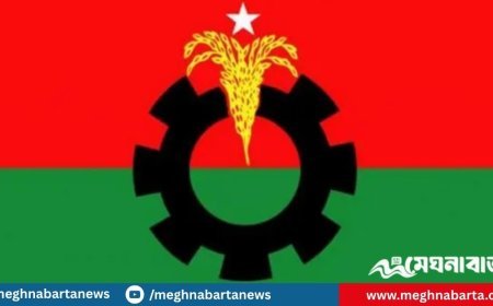 ত্রয়োদশ জাতীয় সংসদ নির্বাচনকে সামনে রেখে বিএনপির আসন ভাগাভাগির গুঞ্জন