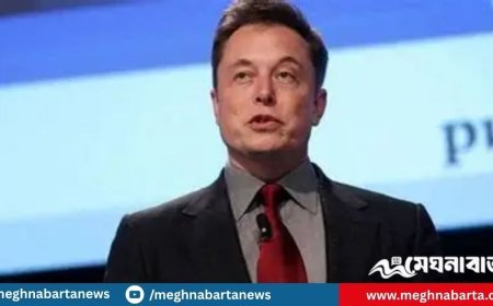 “আমেরিকা পার্টি”, ইলন মাস্কের নতুন রাজনৈতিক দল