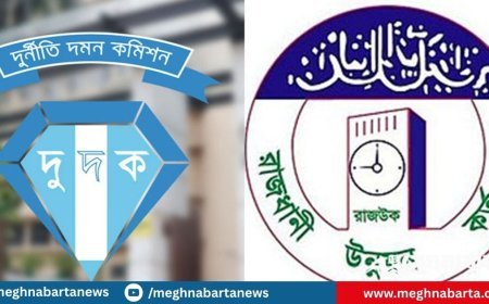 রাজউক উপপরিচালক ও তার স্ত্রীর বিরুদ্ধে দুদকের মামলা