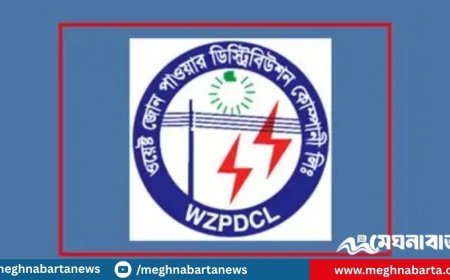 পাওয়ার ডিস্ট্রিবিউশন কোম্পানিতে ১১৮ শূন্যপদে নিয়োগ