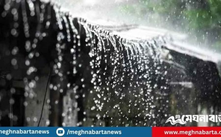 ৭ জেলায় ঝড়ের আভাস, নদীবন্দরে সতর্ক সংকেত জারি