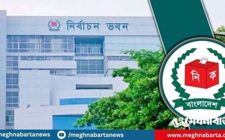 স্থানীয় নির্বাচনে দলীয় প্রতীক বাতিলের প্রস্তাবনা
