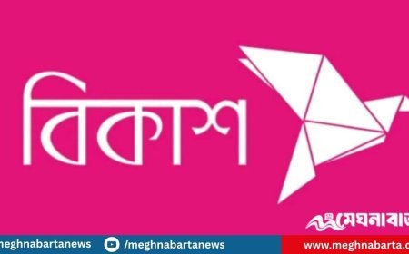 বিকাশ লিমিটেড নিয়োগ বিজ্ঞপ্তি প্রকাশ