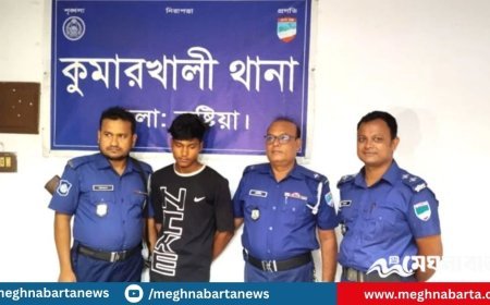 কুষ্টিয়ায় ভাবিকে জোরপূর্বক ‘ধর্ষণে’র অভিযোগে দেবর কারাগারে