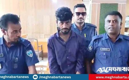 কুমিল্লার মুরাদনগরে পর্নোগ্রাফি মামলায় শাহ পরানের ৫ দিনের রিমান্ড মঞ্জুর