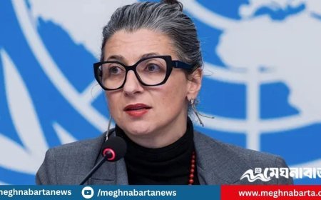 ইসরায়েলের সমালোচনার পর জাতিসংঘ প্রতিনিধির ওপর যুক্তরাষ্ট্রের নিষেধাজ্ঞা