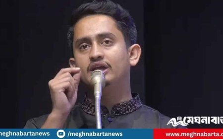 শাপলা না হলে ধানের শীষও প্রতীক হতে পারবে না;  সারজিস আলম