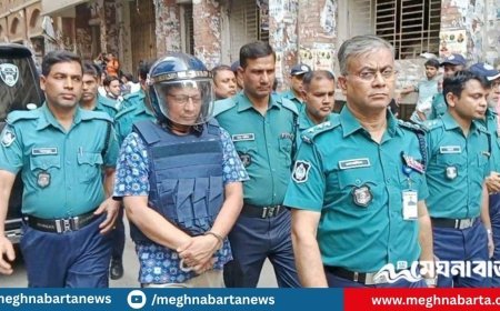 রাজসাক্ষী হলেন সাবেক আইজিপি মামুন, গণহত্যার দায় স্বীকার