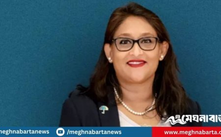 ডব্লিউএইচও থেকে অনির্দিষ্টকালের ছুটিতে হাসিনা কন্যা পুতুল