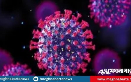 সারাদেশে করোনায় একদিনে ১৯০ জনের নমুনা পরীক্ষায় ৩ জন পজেটিভ