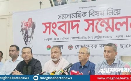 আইনশৃঙ্খলা বাহিনীর ব্যর্থতার কারণে পরিস্থিতি বিপর্যস্ত : যুবদল সভাপতি