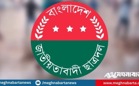 দলে দলে পদত্যাগ করছেন ছাত্রদল নেতারা