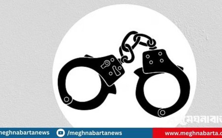 মোহাম্মদপুরে পানি রুবেল গ্যাংয়ের ছিনতাইকারী চক্রের ৫ সদস্য আটক : পুলিশ