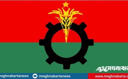 অপকর্মকারীদের বিরুদ্ধে সরকারের কঠোর আইনি ব্যবস্থা চায় বিএনপি