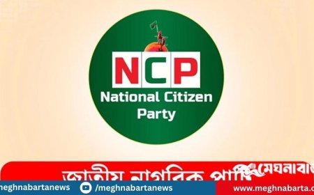 ৩ আগস্ট কেন্দ্রীয় শহীদ মিনারে বড় ধরনের গণজমায়েত করতে যাচ্ছে এনসিপি