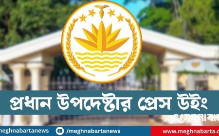 দেশে সহিংস অপরাধের সংখ্যা বাড়েনি : প্রেস উইং