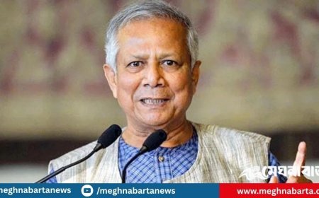 ভারতসহ ৫ দেশে আম উপহার পাঠাচ্ছেন প্রধান উপদেষ্টা