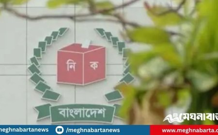 এনসিপিসহ ১৪৪ দলই প্রাথমিক বাছাইয়ে অনুত্তীর্ণ, সংশোধনে ১৫ দিনের সুযোগ