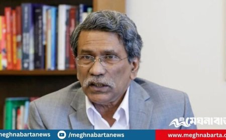 ঐকমত্য কমিশন ব্যর্থ হলে, আমরা সবাই ব্যর্থ হবো : আলী রীয়াজ