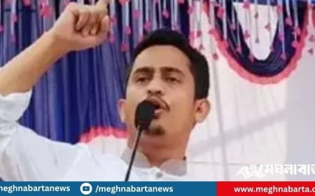 যদি বেঁচে ফিরি তাহলে মুজিববাদের কবর রচনা করবো : সারজিস