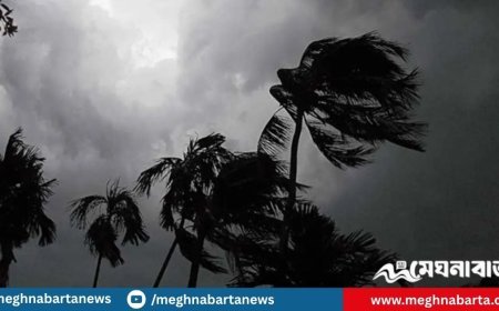 রাতের মধ্যে ঢাকাসহ ১৯ জেলায় ঝড়ের পূর্বাভাস