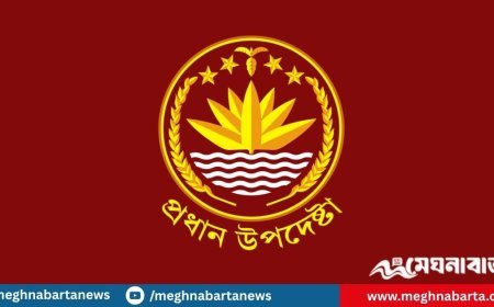 অন্তর্বর্তী সরকারের বিবৃতি, এই ঘৃণ্য কর্মকাণ্ডের অবশ্যই শাস্তি হবে