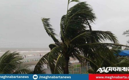 দেশজুড়ে হালকা থেকে মাঝারি ধরনের বৃষ্টির সম্ভাবনা