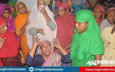 বখাটের ছুরিকাঘাতে কিশোরী গুরুতর আহত, বাঁচাতে গিয়ে দাদি-ভাবি নিহত