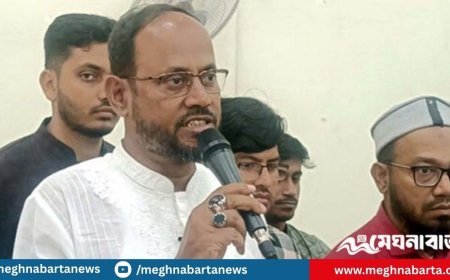 জুলাই আন্দোলনে মূল ভূমিকা ছিল তারেক রহমানের : টুকু