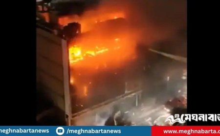 ইরাকের শপিংমলে ভয়াবহ আগুন, নিহত ৫০