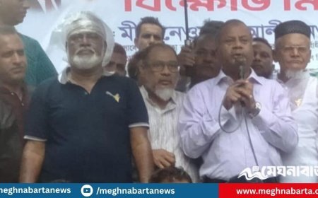 লীগের ১৭ বছরের চেয়ে এই ১০ মাসে বেশি ক্ষতি হয়েছে, দাবি বিএনপি নেতার