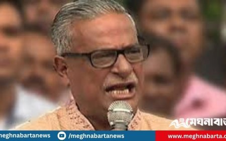 গোপালগঞ্জের হামলা নির্বাচন পেছানোর নতুন ষড়যন্ত্র বললেন বিএনপি নেতা ফারুক