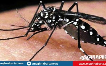 চাঁপাইনবাবগঞ্জে ডেঙ্গুতে বৃদ্ধের মৃত্যু