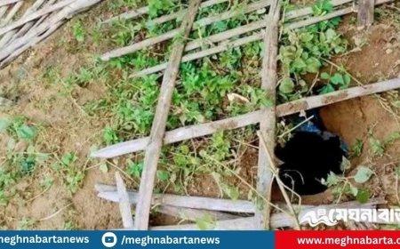 ঠাকুরগাঁওয়ে কবর থেকে ১০ কঙ্কাল উধাও