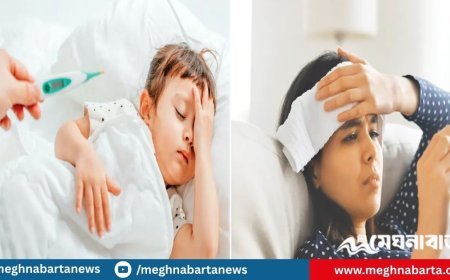 ভাইরাল জ্বর প্রতিরোধে করণীয়