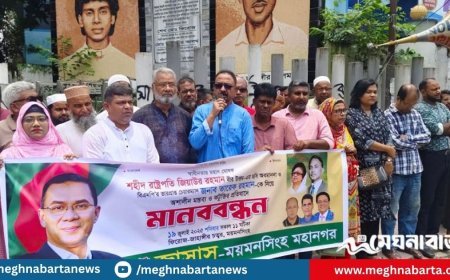 শহীদ জিয়া-তারেক রহমানের অপমান সহ্য করা হবে না, বিএনপির হুঁশিয়ারি