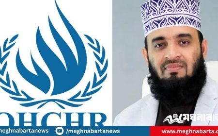 জাতিসংঘের কার্যালয় নিয়ে আজহারীর স্ট্যাটাস