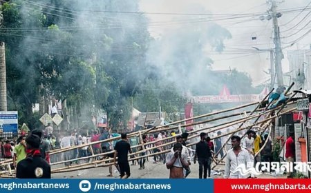 গোপালগঞ্জে  চার মামলায় আসামি ৩০০৮, গ্রেপ্তার ৩০৬