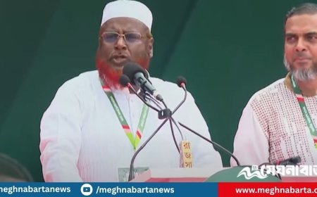 এই জনসমুদ্র গণবিস্ফোরণের সৃষ্টি করেছে : গোলাম পরওয়ার