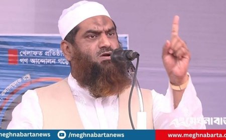 রোডম্যাপ অনুযায়ী নির্দিষ্ট সময়েই নির্বাচন সম্পন্ন করতে হবে: মামুনুল হক