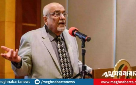 ‘বাস্তবে দেশ সবার না, যার ক্ষমতা আছে দেশ তার’