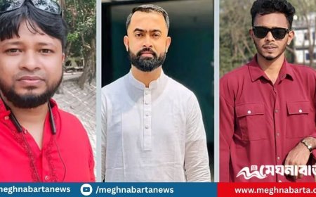 গোপালগঞ্জের ঘটনায় স্বাধীন তদন্তে বাধা কোথায়