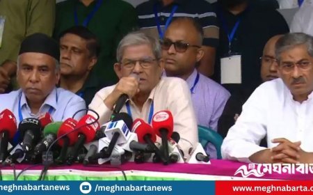 শেখ হাসিনা জাতির কলঙ্ক, তাকে ক্ষমা নয় : মির্জা ফখরুল