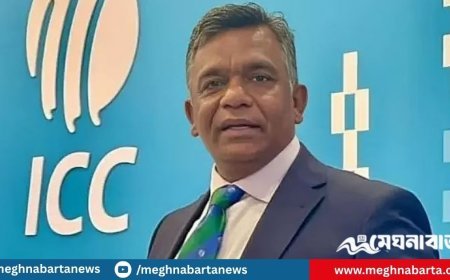 ক্রিকেটের ‘রাজনীতি’ বুঝতে পারেননি বুলবুল