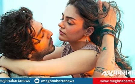 বলিউডে নতুন জুটি, বক্স অফিসে তাণ্ডব! ৬ দিনে সাইয়ারা’র আয় কত