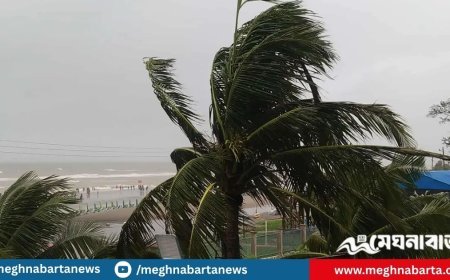 দুপুরের মধ্যে যেসব জেলায় হতে পারে ঝড়বৃষ্টি