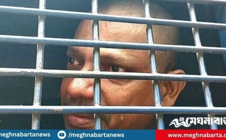 প্রিজনভ্যানে অঝোরে কাঁদলেন পলক, একজন বললেন ‘ভাই কাইন্দেন না’