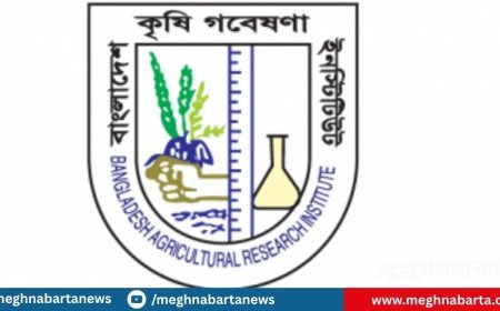 কৃষি গবেষণা ইনস্টিটিউটে বিভিন্ন গ্রেডে নিয়োগ