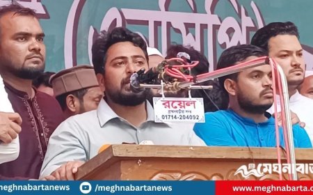 ৫ আগস্টের মধ্যে ‘জুলাই সনদ’ ঘোষণাপত্র আদায় করা হবে : নাহিদ ইসলাম