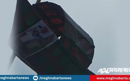 বাঁশের সঙ্গে ‘নৌকা’ ঝুলিয়ে আ.লীগ কর্মী গ্রেপ্তার